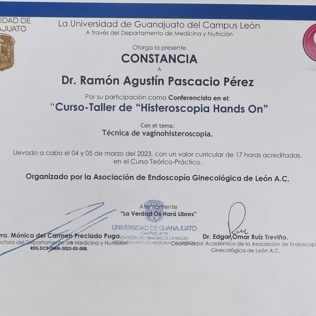 Ampliar imagen: certificate 27