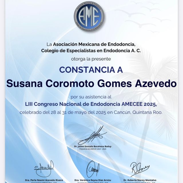 Ampliar imagen: certificate 8