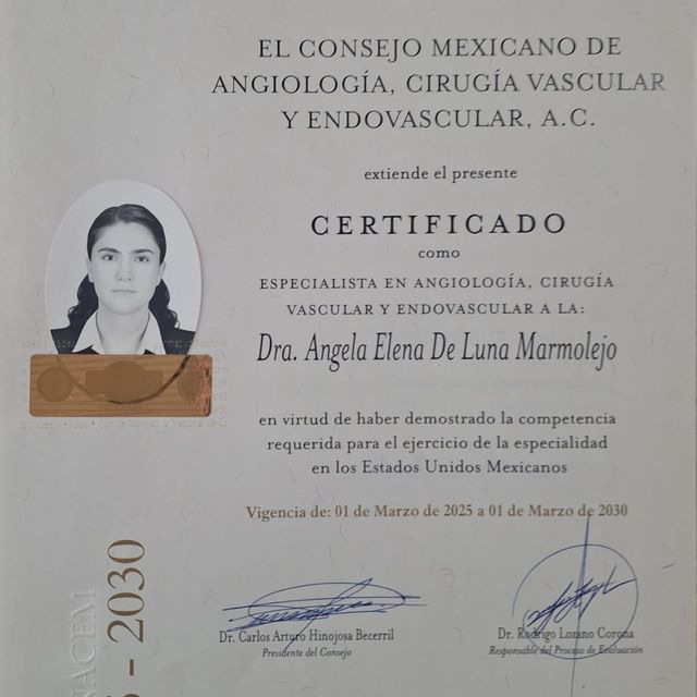 Ampliar imagen: certificate 1