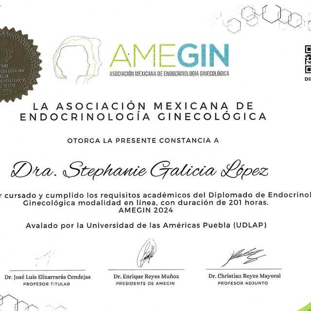 Ampliar imagen: certificate 3