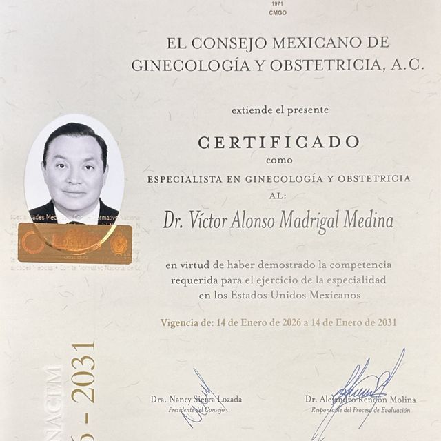 Ampliar imagen: certificate 4