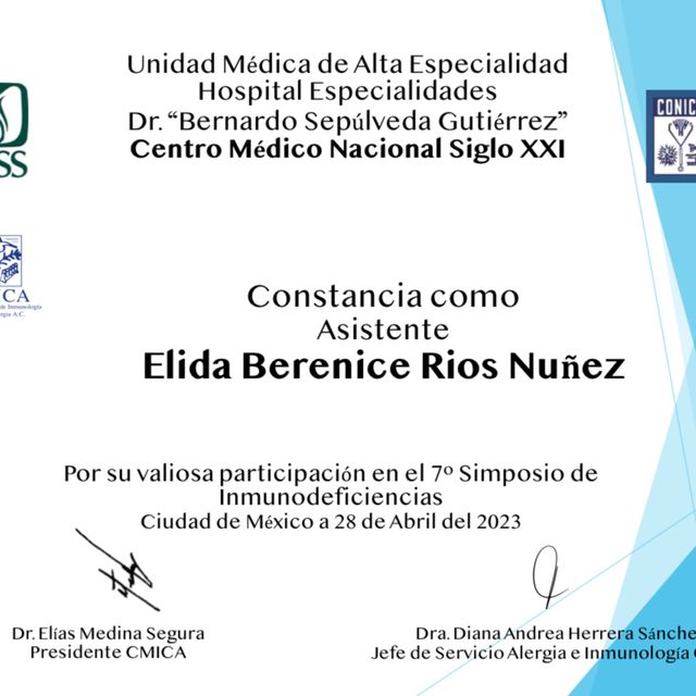 Ampliar imagen: certificate 3