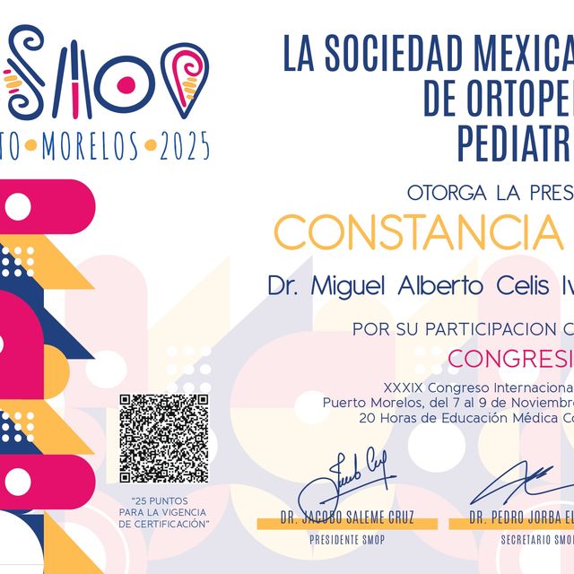 Ampliar imagen: certificate 5