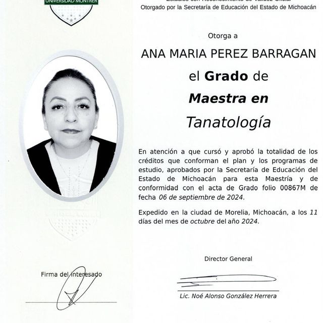 Ampliar imagen: certificate 16