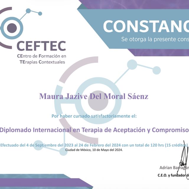 Ampliar imagen: certificate 7