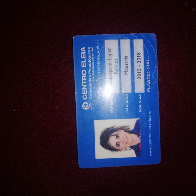 Ampliar imagen: certificate 13