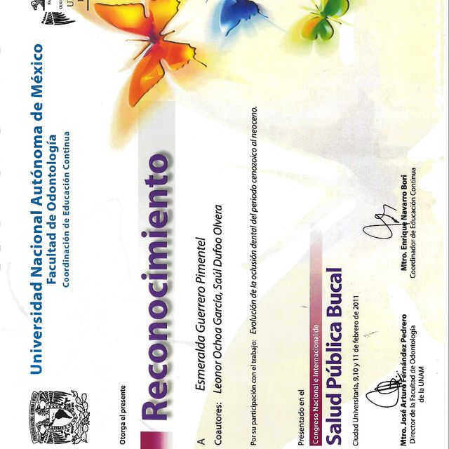 Ampliar imagen: certificate 4
