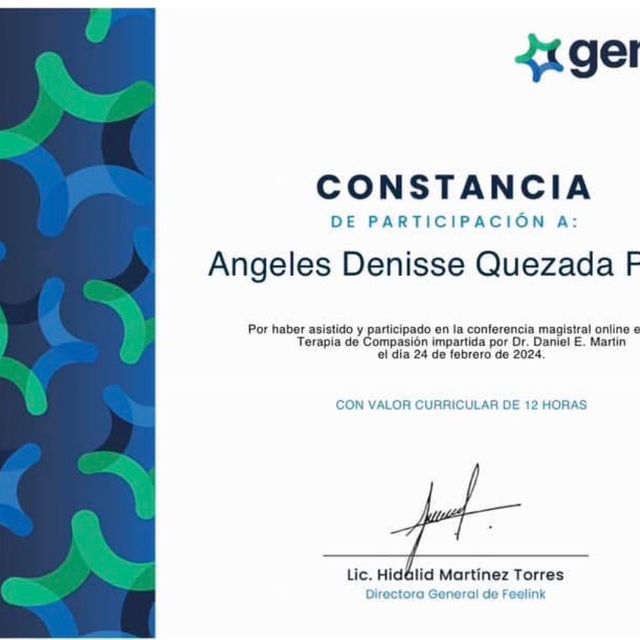 Ampliar imagen: certificate 11