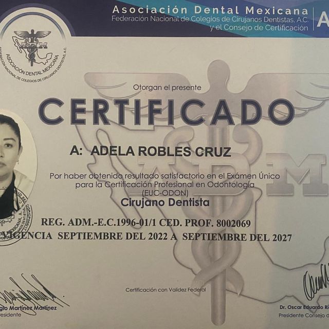 Ampliar imagen: certificate 1
