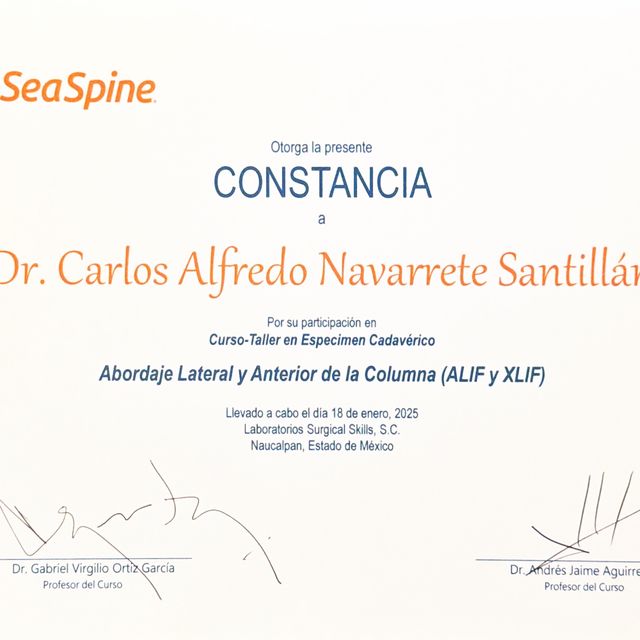 Ampliar imagen: certificate 5