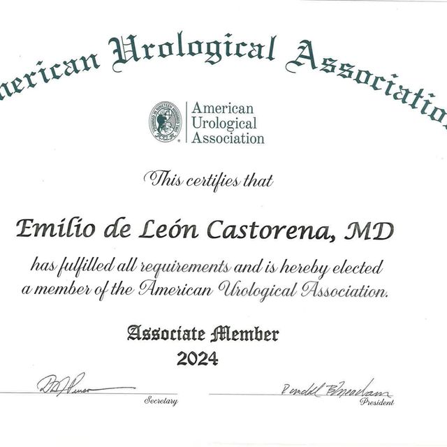Ampliar imagen: certificate 4