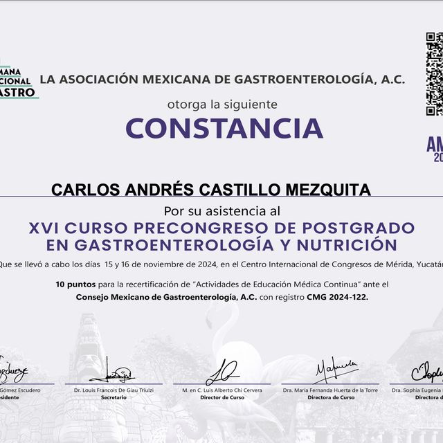 Ampliar imagen: certificate 4