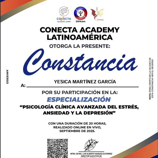 Ampliar imagen: certificate 1