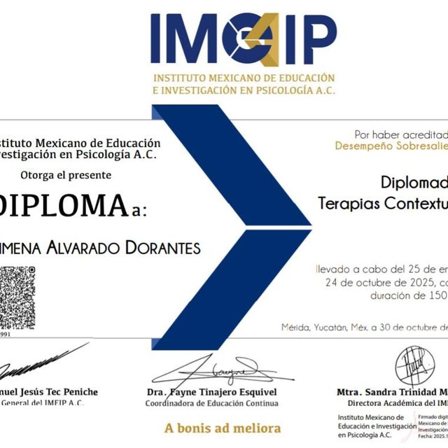 Ampliar imagen: certificate 8