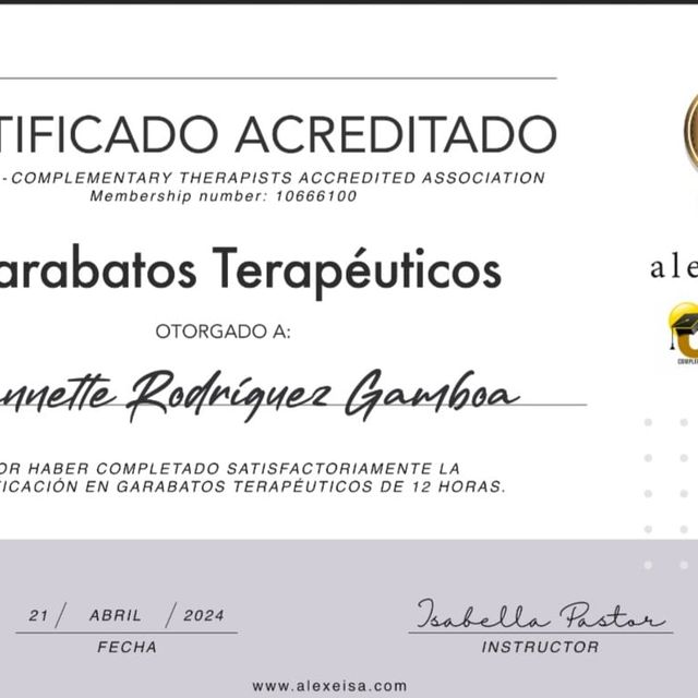 Ampliar imagen: certificate 1