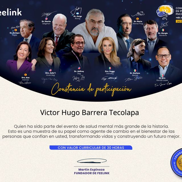 Ampliar imagen: certificate 47