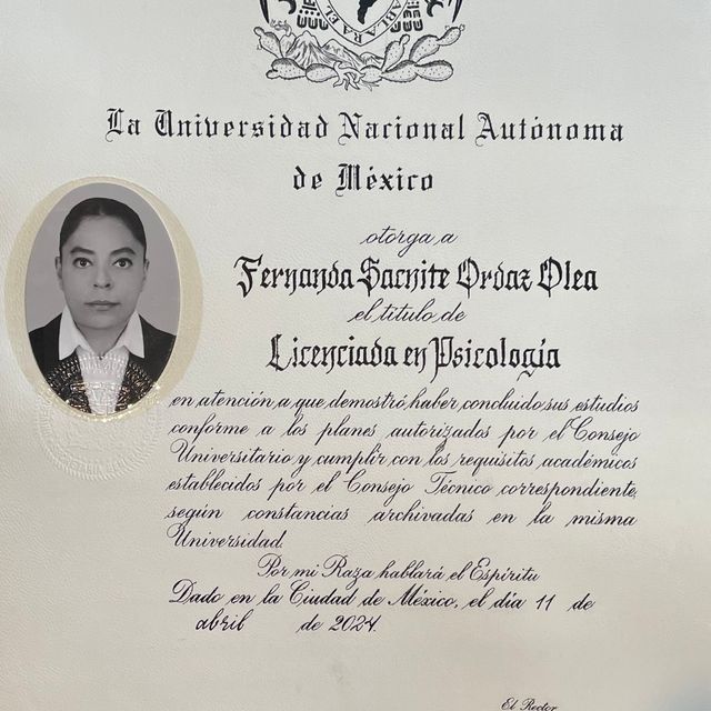 Ampliar imagen: certificate 1