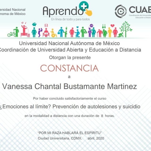 Ampliar imagen: certificate 3