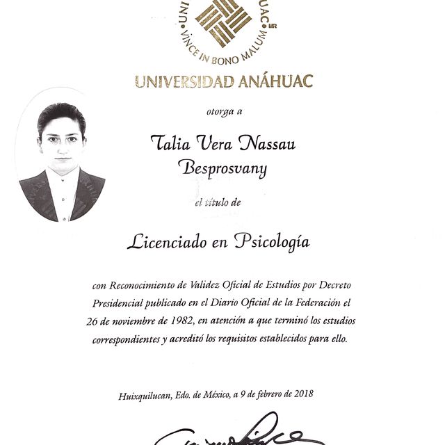 Ampliar imagen: certificate 2
