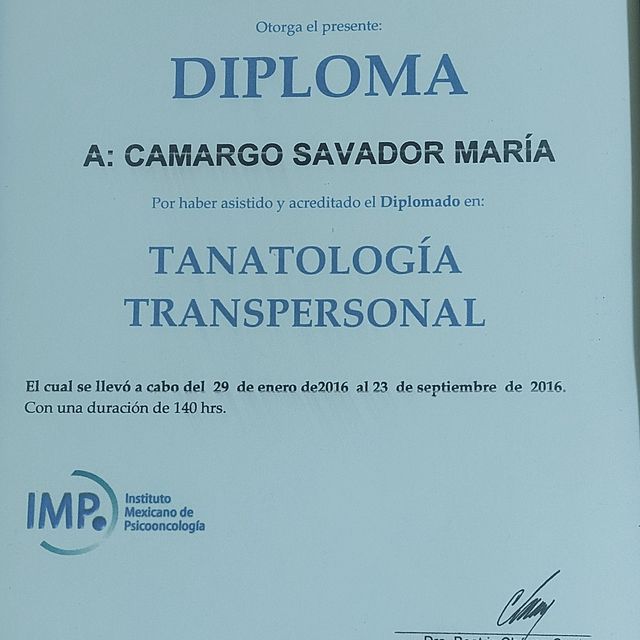 Ampliar imagen: certificate 28