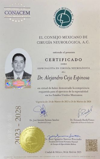 Ampliar imagen: certificate 3