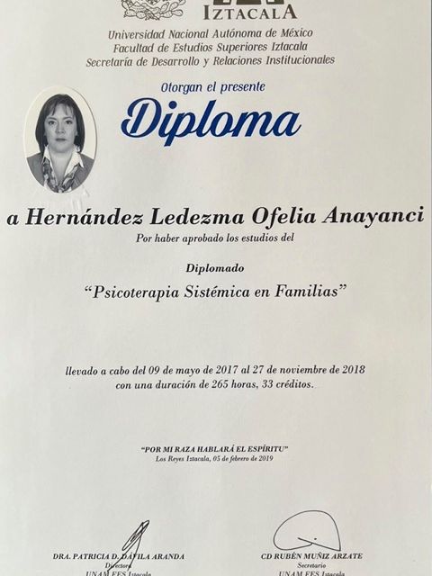 Ampliar imagen: certificate 2