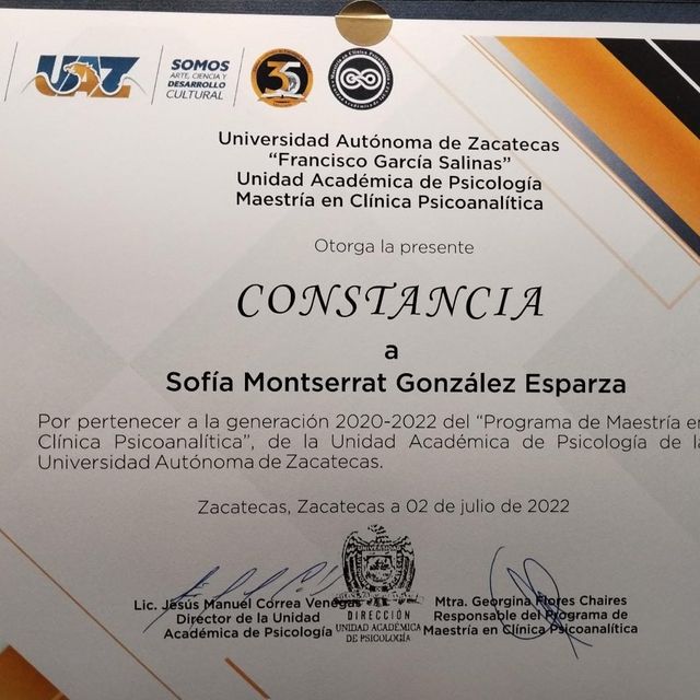 Ampliar imagen: certificate 1