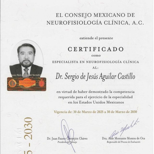 Ampliar imagen: certificate 2