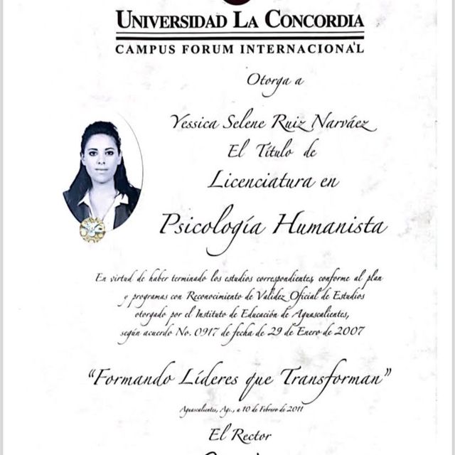 Ampliar imagen: certificate 12