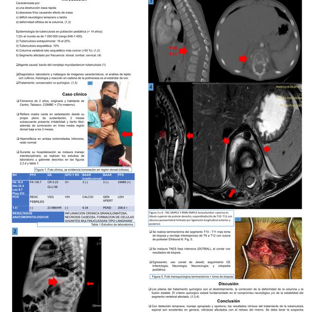 Ampliar imagen: certificate 14