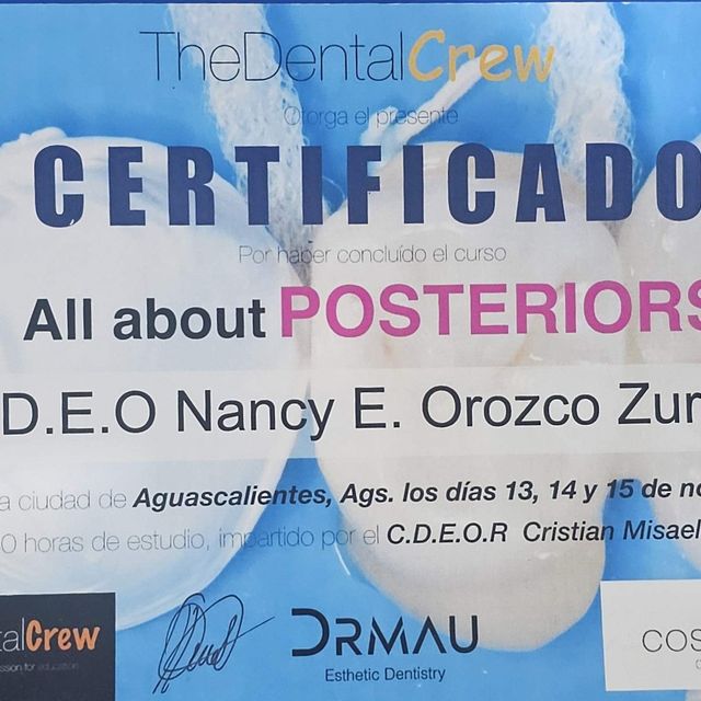 Ampliar imagen: certificate 5