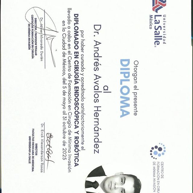 Ampliar imagen: certificate 4