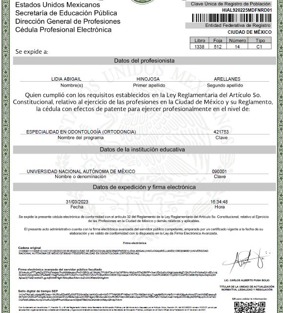 Ampliar imagen: certificate 2