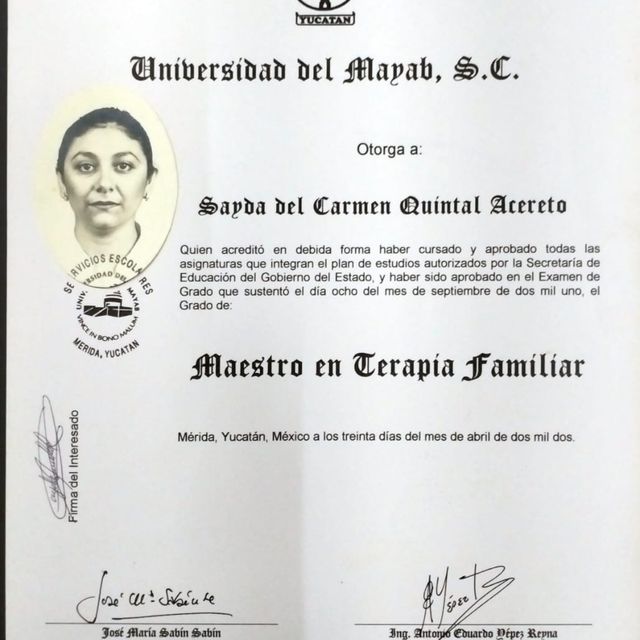 Ampliar imagen: certificate 1