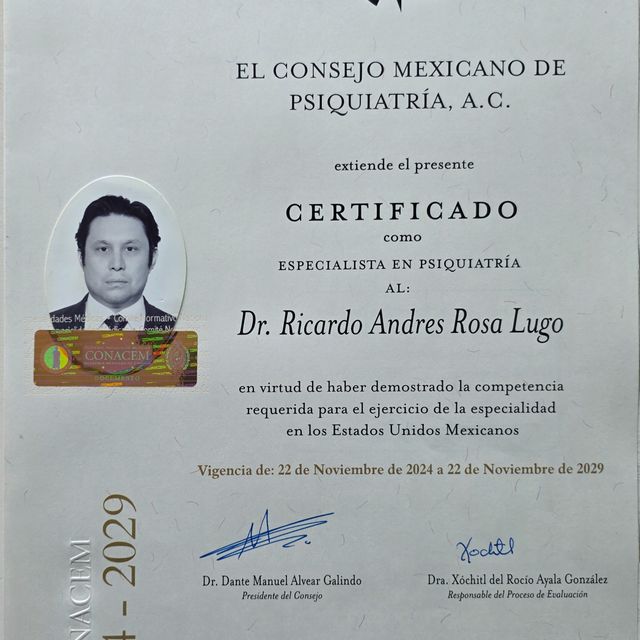 Ampliar imagen: certificate 5