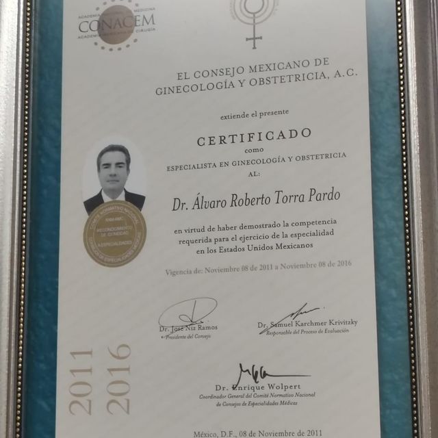 Ampliar imagen: certificate 1
