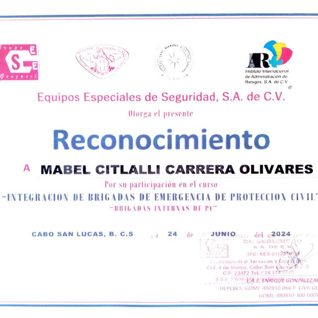 Ampliar imagen: certificate 6