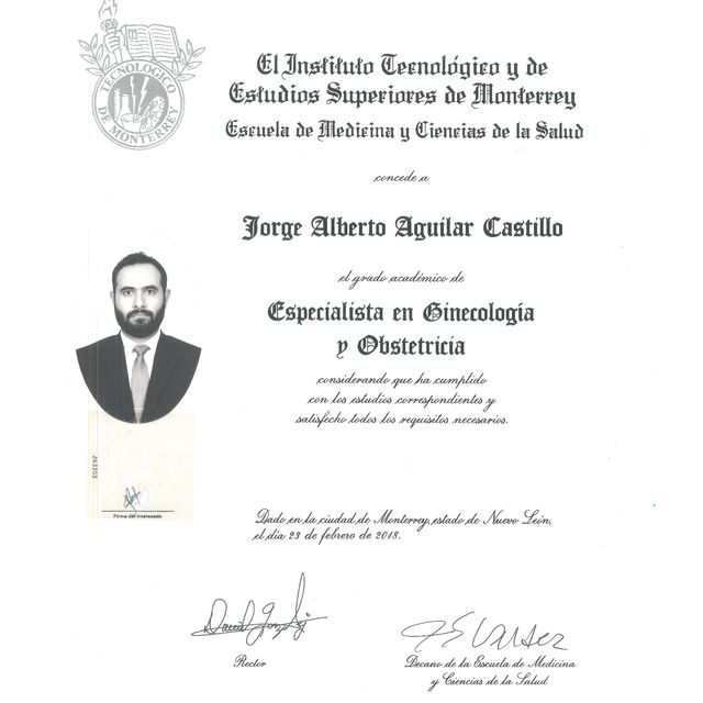 Ampliar imagen: certificate 1