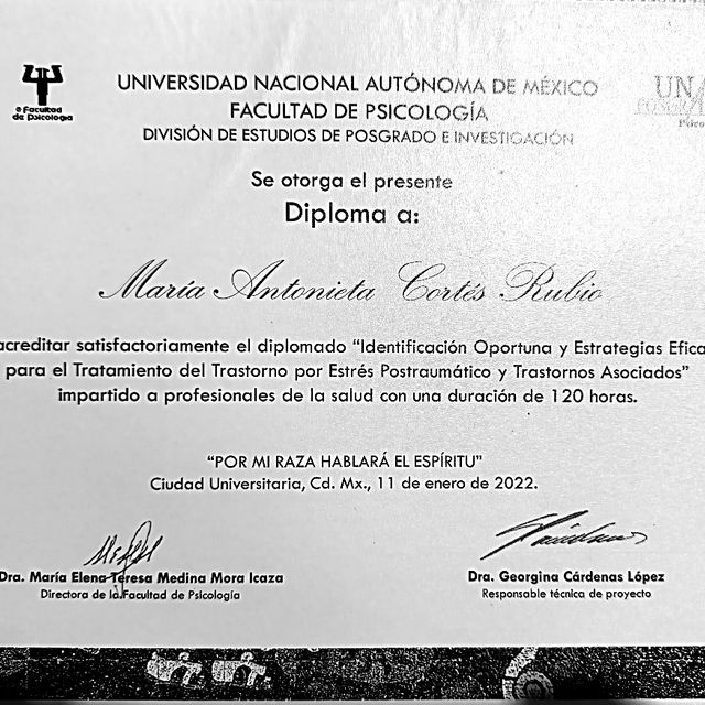 Ampliar imagen: certificate 11