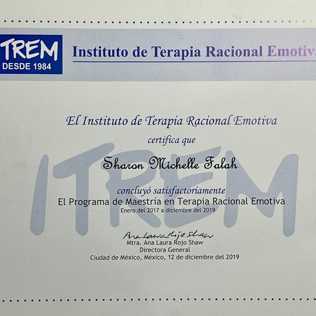 Ampliar imagen: certificate 2