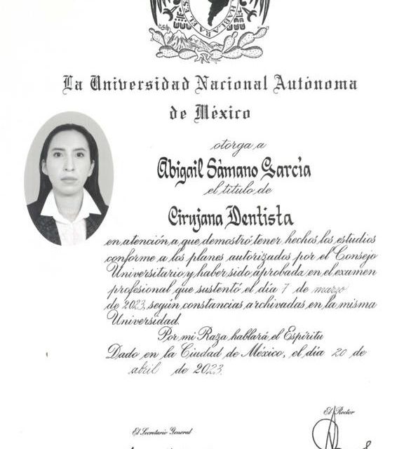 Ampliar imagen: certificate 2