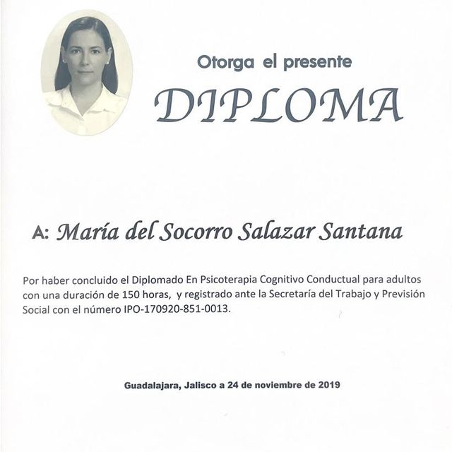 Ampliar imagen: certificate 8