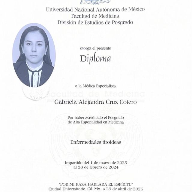 Ampliar imagen: certificate 6