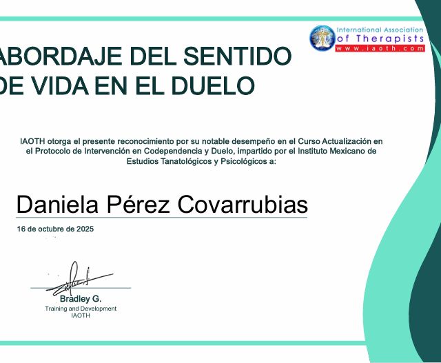 Ampliar imagen: certificate 5
