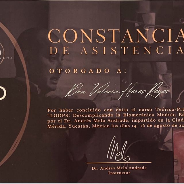 Ampliar imagen: certificate 2