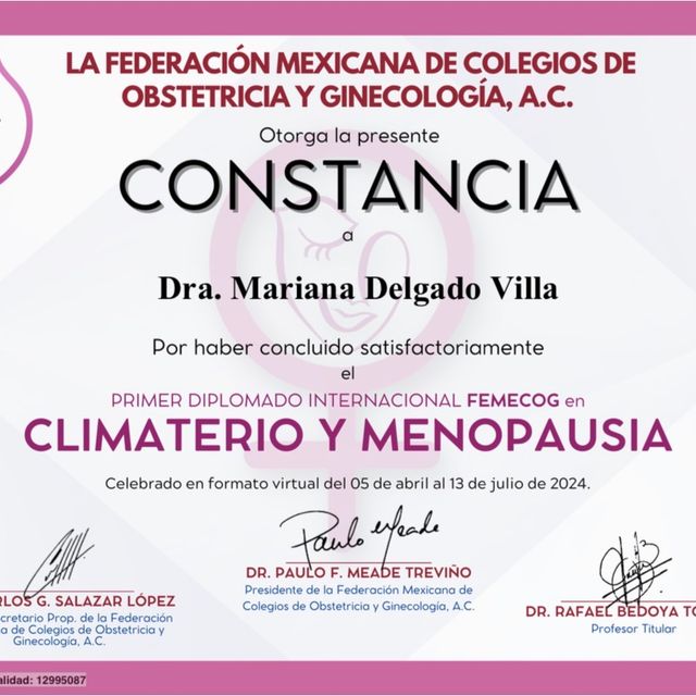 Ampliar imagen: certificate 3