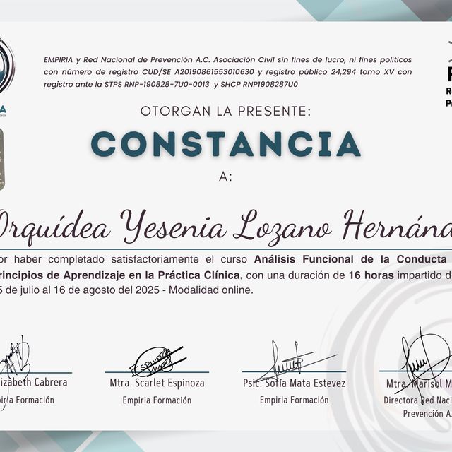 Ampliar imagen: certificate 8