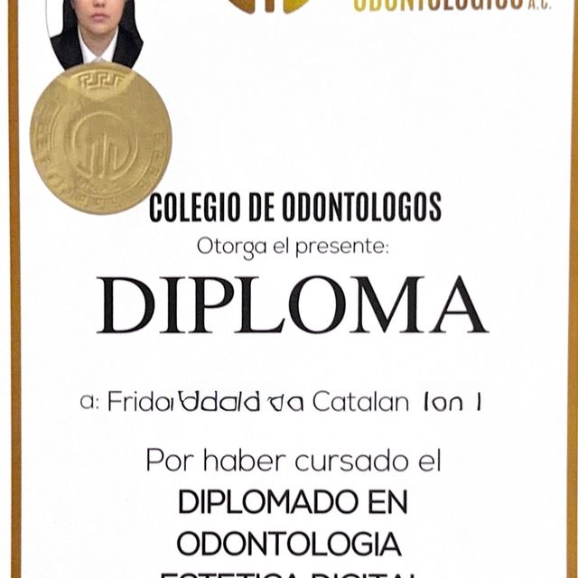 Ampliar imagen: certificate 2