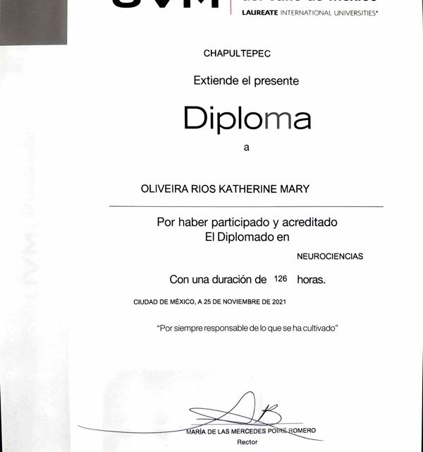 Ampliar imagen: certificate 4
