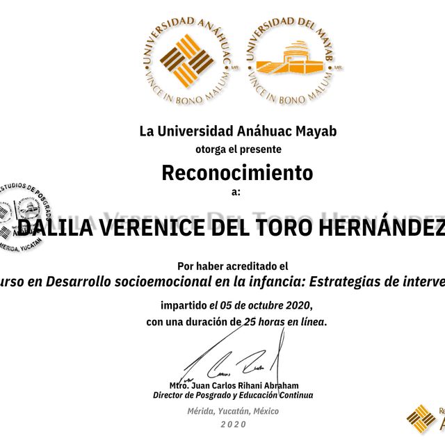 Ampliar imagen: certificate 4